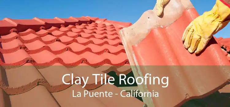 Clay Tile Roofing La Puente - California