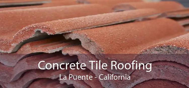 Concrete Tile Roofing La Puente - California