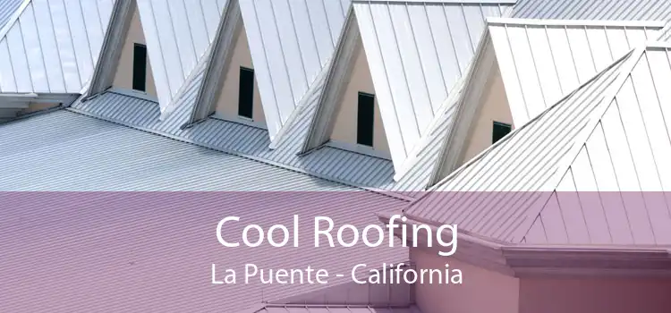 Cool Roofing La Puente - California