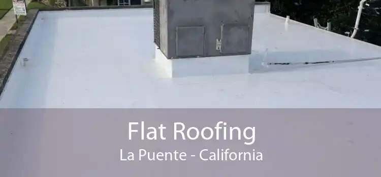 Flat Roofing La Puente - California