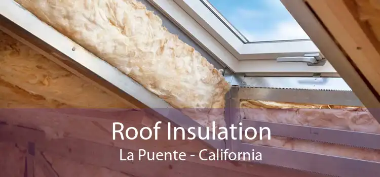 Roof Insulation La Puente - California