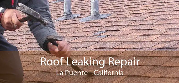 Roof Leaking Repair La Puente - California