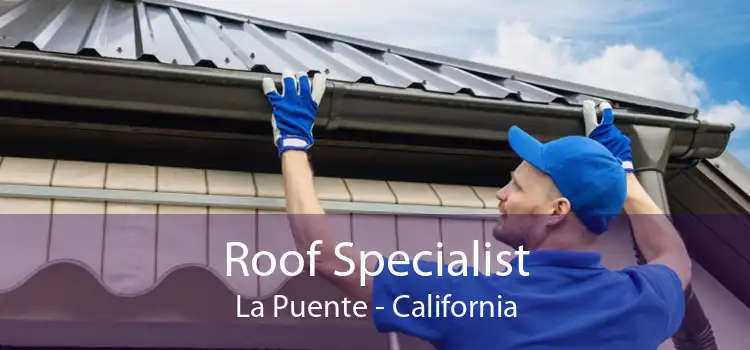 Roof Specialist La Puente - California