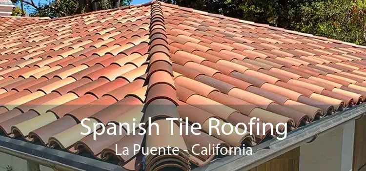 Spanish Tile Roofing La Puente - California