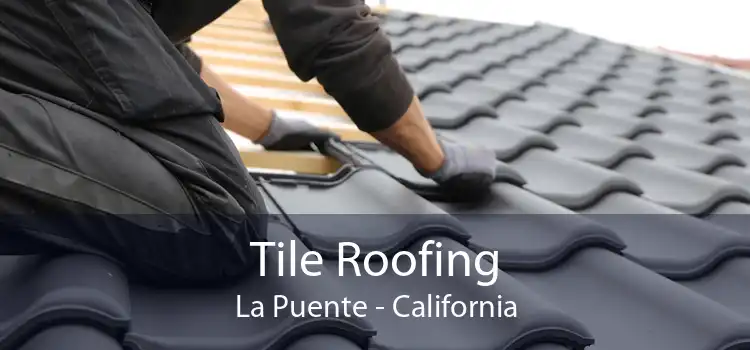 Tile Roofing La Puente - California