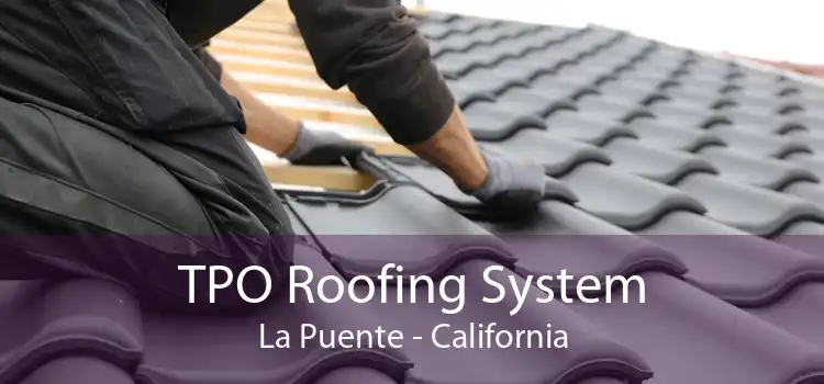 TPO Roofing System La Puente - California